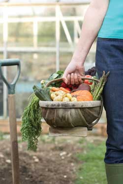 a photo of a woman caring a large basket of different vegetables