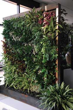 photo of an indoor vertical wall garden