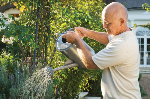a photo of an elderly man using a watering can