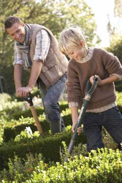 a phot of a father and son working in raised gardens together