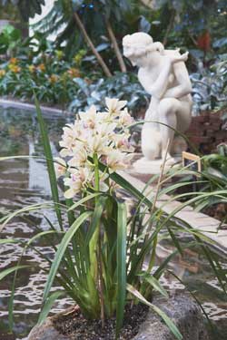 a photo of a statue in a garden